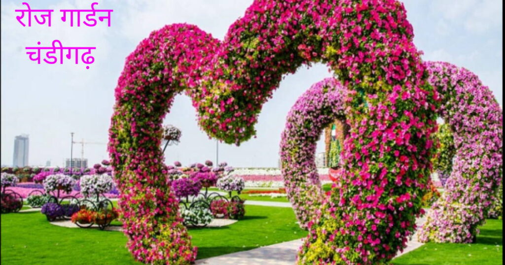 rose garden chandigarh